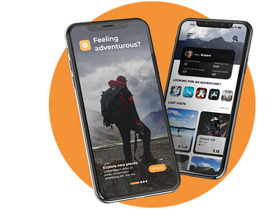 Travel App app app design mobile mobile app ui uiux ux