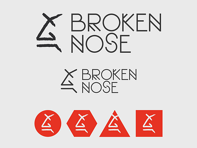 Broken Nose Logo icon logo logotype symbol