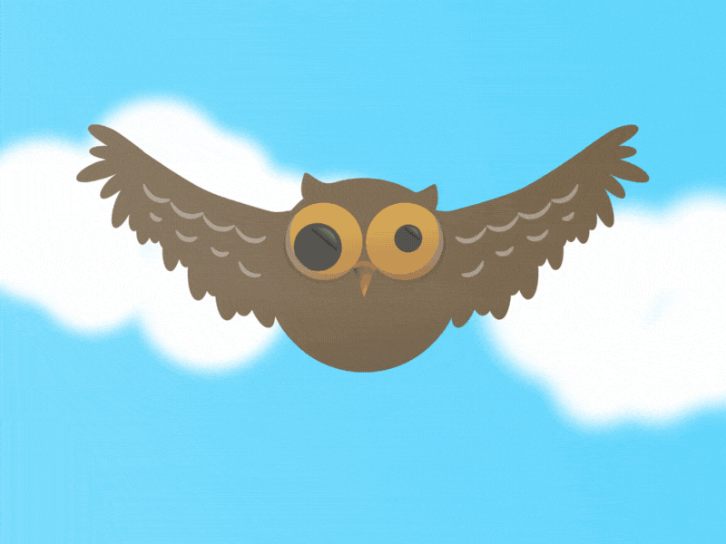 Owl Animation