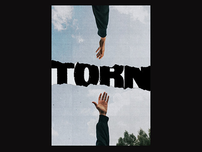 003 / TORN