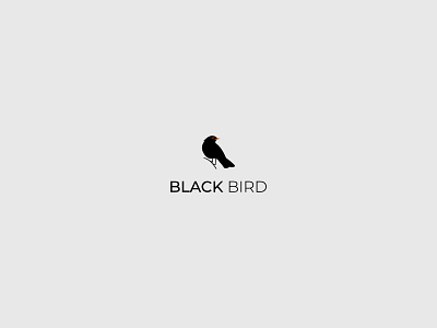 Black Bird bird bird icon bird logo brand design brand identity branding company creative graphic design logo logo design logodesign logoidea logoinspirations logoinspire logos logotype modern professional vector