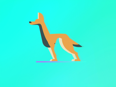 Year of Dog animation dog motion graphics