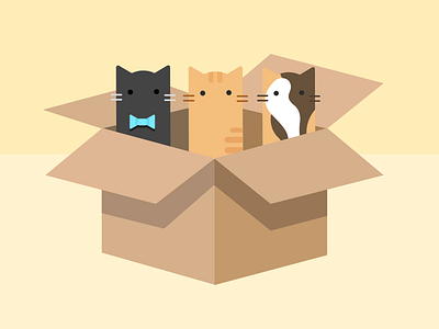 If I fits I sits... box cats illustration