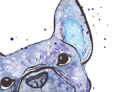 Rex Watercolor Galaxy animal bulldog digital dog french love paint pet photoshop portrait puppy watercolor