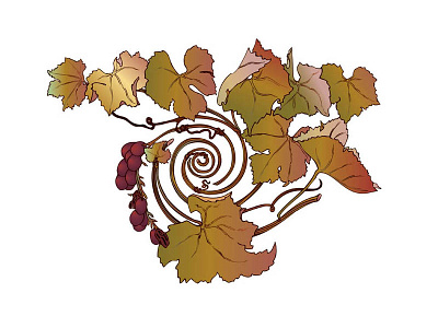 Autumn Grape Illustration design grapes graphic illustration laurel mathe mystic swirl wine
