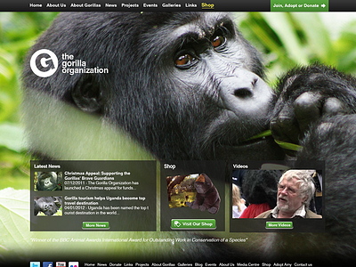 The Great Gorilla Organization (Proposed design) - 2010 2010 charity homepage website
