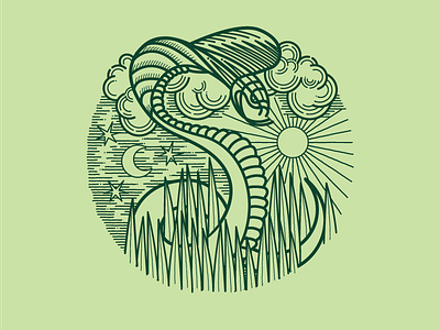 Snake in the grass by Brian Steely on Dribbble