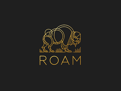 ROAM mark