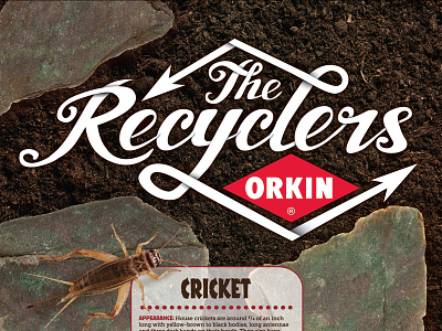 The Recyclers Poster custom type hand drawn insects poster type typography