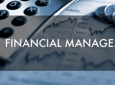 Financial Management Service in Delhi by Businesscare India on Dribbble