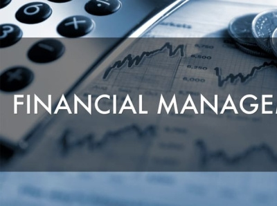 Financial Management Service in Delhi finance financial advisor financial management financial services