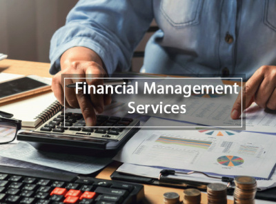 Financial Management Service in Noida financial advisor financial management financial services