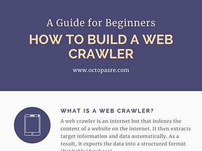 how to build a web crawler from scratch a guide for beginners