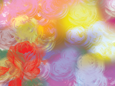 Dribbble Debut Rose Background background photoshop rose