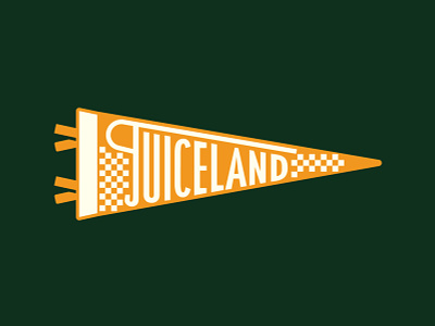 JuiceLand Pennant Flag austin flag pennant flag race texas tx