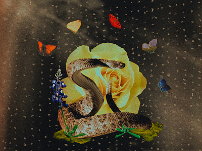 Con Man bluebonnet butterfly collage procreate snake