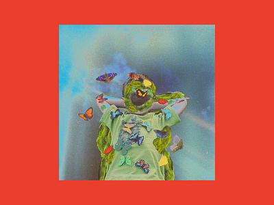 Con Man Album Art butterfly collage cover art