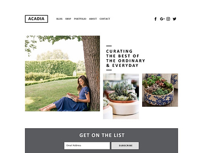 Acadia website Redesign illustrator interaction design