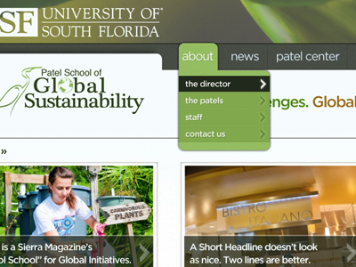 USF Patel School of Global Sustainability copy heavy green subnav