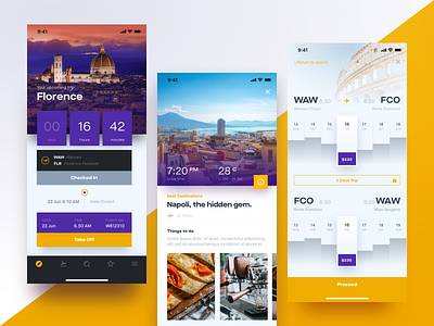 Flight Booking App Screens app article booking flight inspiration iphone mobile photo search ticket timeline travel ui
