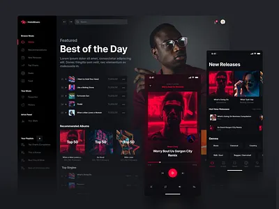 Holo Music 2.0 app chart design design system desktop iphone music player spotify streaming ui ui kit ui kits