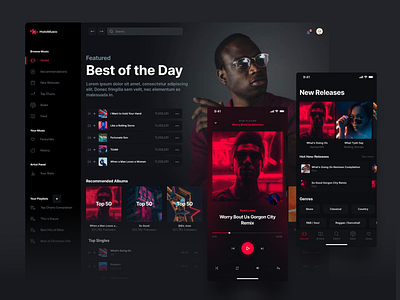 Holo Music 2.0 app chart design design system desktop iphone music player spotify streaming ui ui kit ui kits
