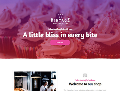 Vintage Landing Page design landing page landing page concept landing page design landing pages wordpress wordpress theme