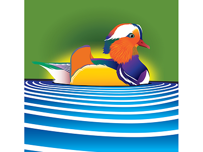 Orange Duck adobe bird bright colorful design illustration illustrator water