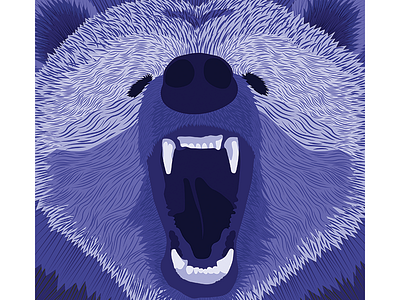 Grizzly Bear beauty blue colors graphic illustration illustrator monotone motion