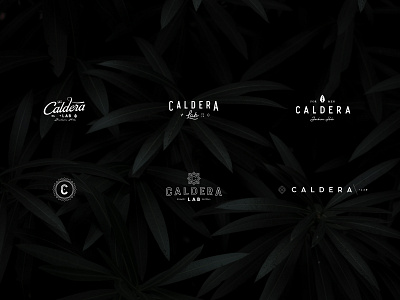 Caldera + Lab Lockups aharmon branding caldera cosmetic elegant identity lockups logo logos men minimal nature organic product sophisticated