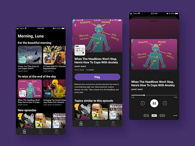 UI design/Podcast Player app dailyui design flat music podcast ui