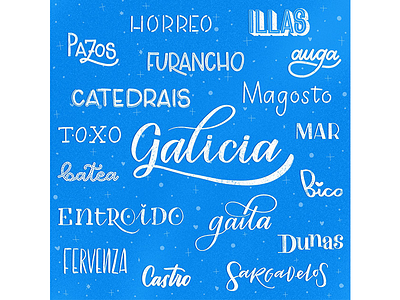 Feliz día de Galicia art brush brushpen calligraphy challenge galicia letter lettering quote