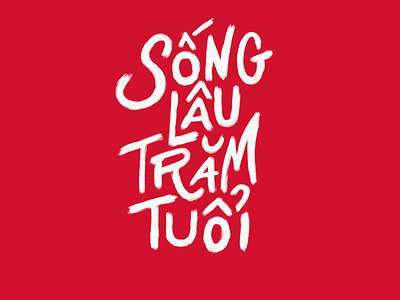 Nam Moi (New Year) 2/4 asian chinese new year lettering lunar new year new year typography vietnamese