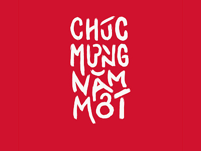 Nam Moi (New Year) 4/4 brush brush lettering chinese new year lettering lunar new year typography