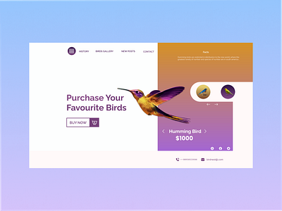 Birds purchase landing page