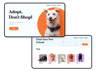 Animal Shelter Web Design