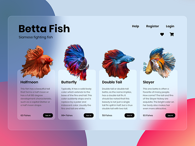 betta fish – Vijay Aquarium