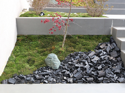 Contemporary zen garden