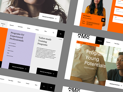 AMS corporate design grid identity management minimalism school typography ui ux web