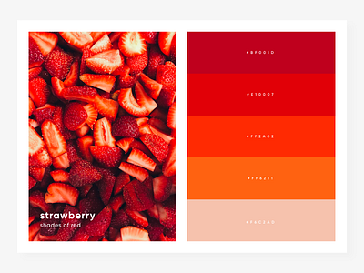 shades of red color palette colors colour design minimal red shades sketch vector