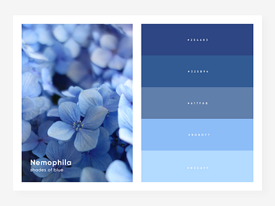 shades of blue blue color palette design nature paint shades