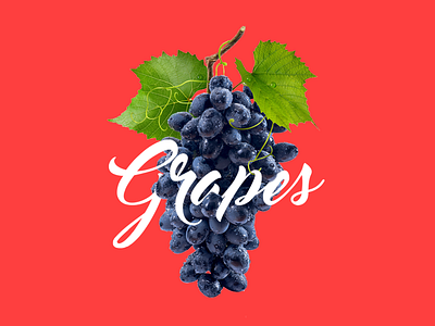 grape calligraphy grapes minimal type typography