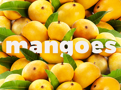mangoes color mango typo yellow