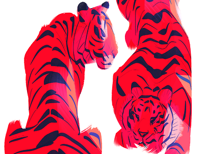 Tigers animals characterdesign children book illustration illustration nature procreate tiger