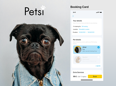 Pet app design app design booking app booking system design details page pet pet care ui ui design web