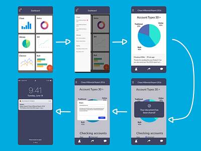 Megaputer (RDSC Project) - Mobile User Flow