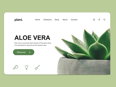The Plant Website branding color palette icons logo typography ui ux
