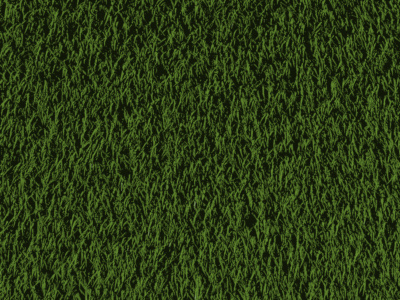 Grass (iPhone Wallpaper)