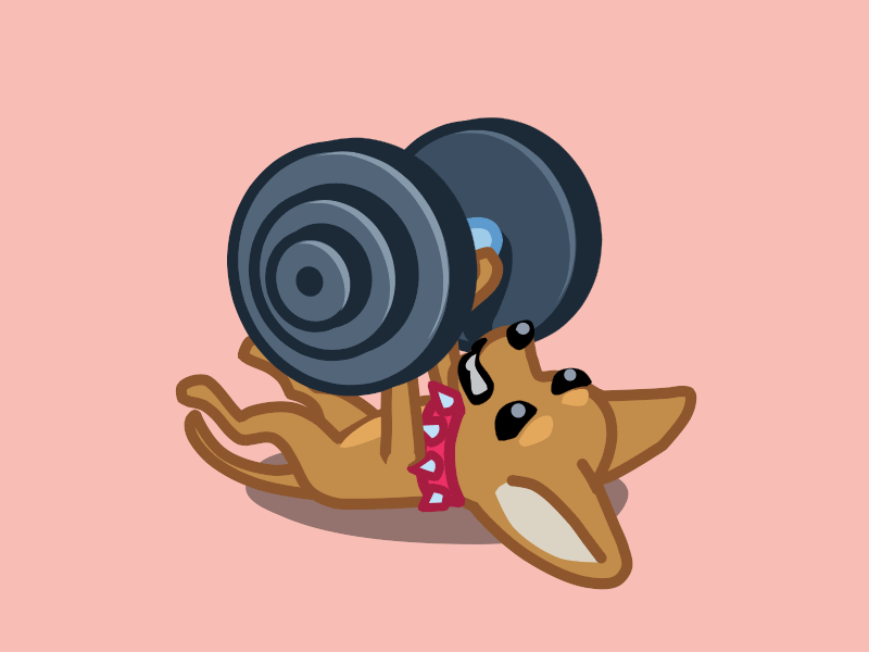 Working out this animation animation barbell character chihuahua dog fitness gif pet puppy sport sticker strong