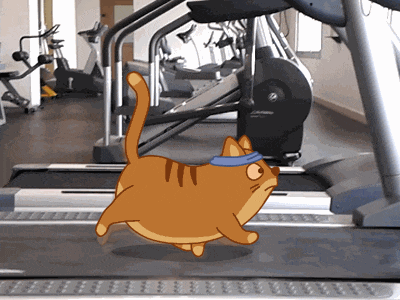 Run Forrest run! animal animation cartoon cat fitness gif gym sport teodor toon